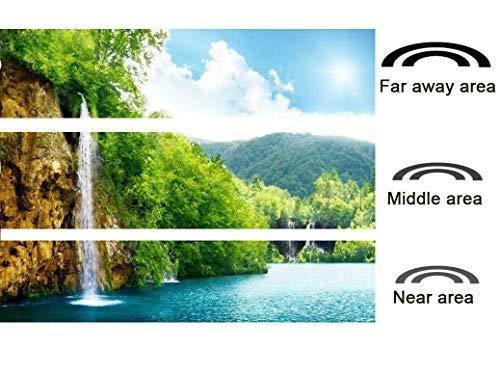 SightPerk Men Half Frame UP Down Progressive Multi Focus Multifocal Reading Glasses Transition Photochromic UV400 Sun Reader (Tortoise, up 25, Down 250)