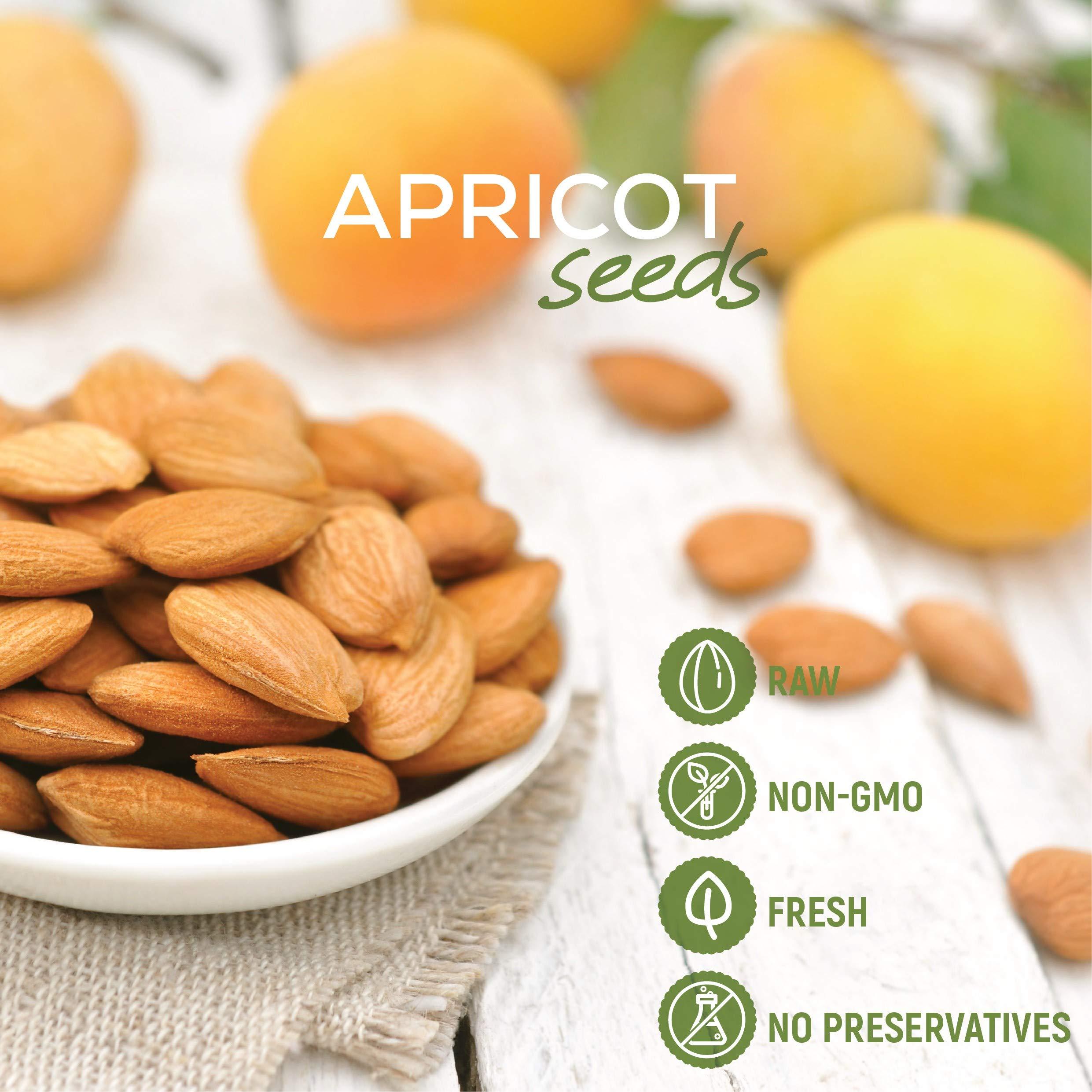 NUTS - U.S. - HEALTH IN EVERY BITE ! NUTS U.S. - Sweet Raw Apricot Kernels (Seeds) | Unpasteurized and Non-GMO | No Sulphure | Packed In Resealable Bags!!! (1 LB)