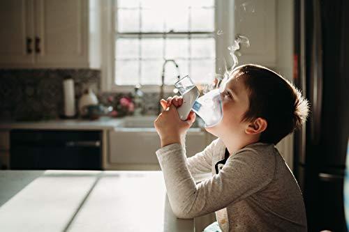 Crane Crane Cordless Rechargeable Warm and Cool Mist Steam Inhaler EE-5948 Provides Instant Relief from Allergies, Cold, Flu, Congestion and Sinus Irritations for Children and Adults