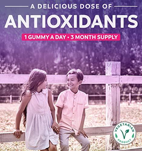 Healths Harmony Elderberry Gummies for Kids with Vitamin C & Zinc (3 Months Supply) 90 Delicious Raspberry Flavor Gummy - Immune Support Supplement for Children - Vegetarian Sambucus Elderberry Gummies (No Pills)