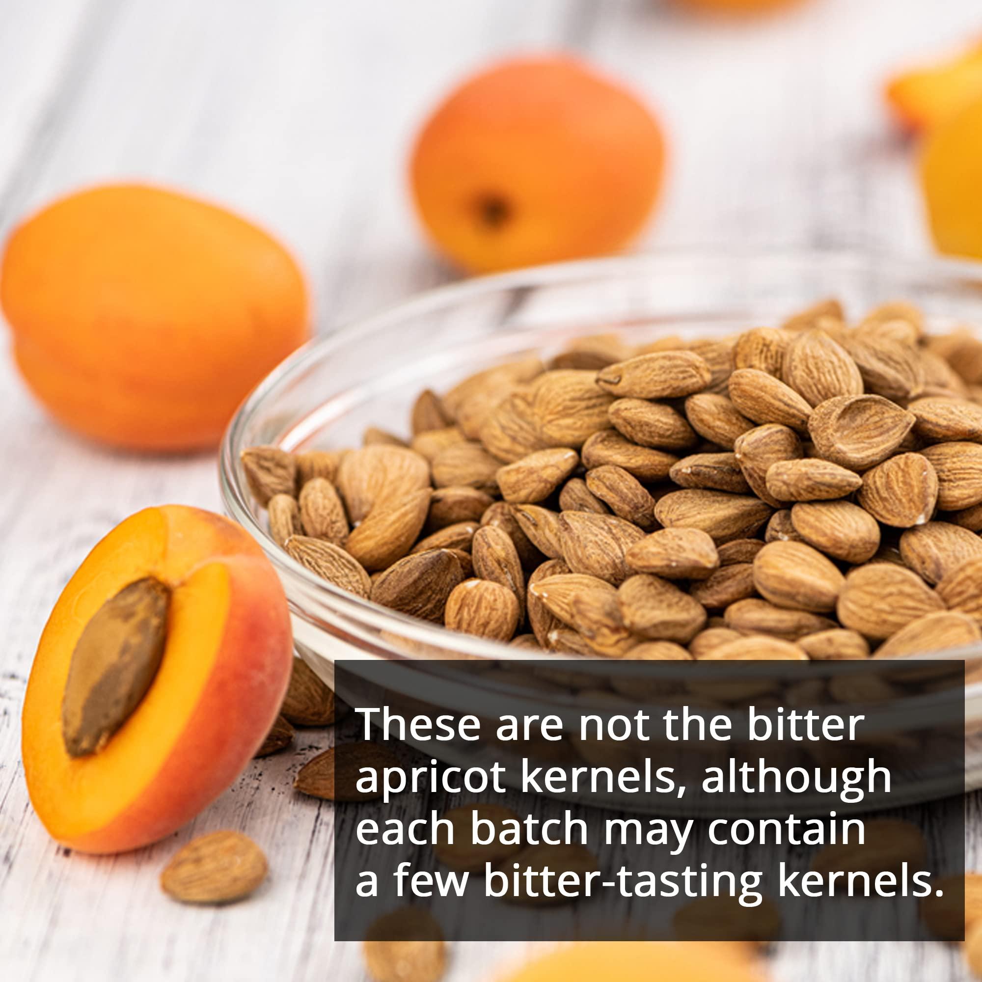 NY SPICE SHOP NY SPICE SHOP Sweet Raw Apricot Seed - 1 (Pound) Sweet Apricot Kernels - Apricot Seeds - Sunfood Apricot Kernels - Seed Apricot - Apricot Seeds Raw - Apricot Kernals – Great source of Vitamin