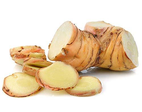 aro 2x 200g Dried Slice Greater Galongal Alpinia Galanga Root Thai Cooking Cuisine Food