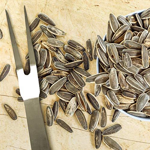 Spitz Spitz Sunflower Seeds, Dill Pickle, 6 Oz (Pack of 9)