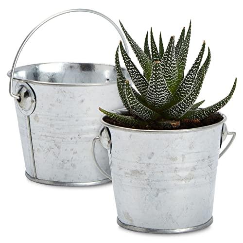 Juvale 10 Pack Small Metal Buckets for Party Favors, Tiny Galvanized Silver Pails for Crafts, Succulents (3.3 x 2.5 x 3 in)