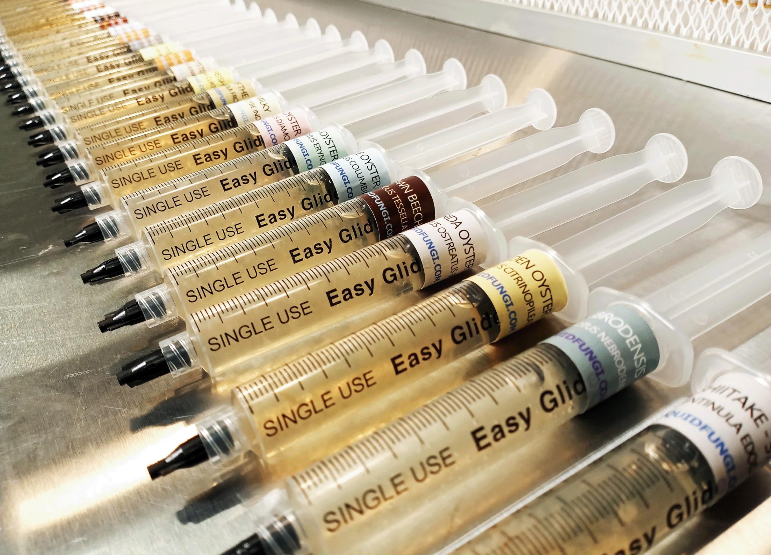 Liquid Fungi King Oyster Mushroom (Pleurotus eryngii) Liquid Culture Syringe for Mushroom Cultivation on Grain or Agar