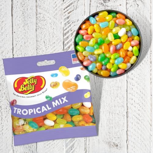 Needzo Jelly Bean Tropical Mix Bulk Shareable Candy, Fruit Flavored Gourmet Chewy Candies for Gift Baskets, Pack of 3, 3.5 Ounce Bag