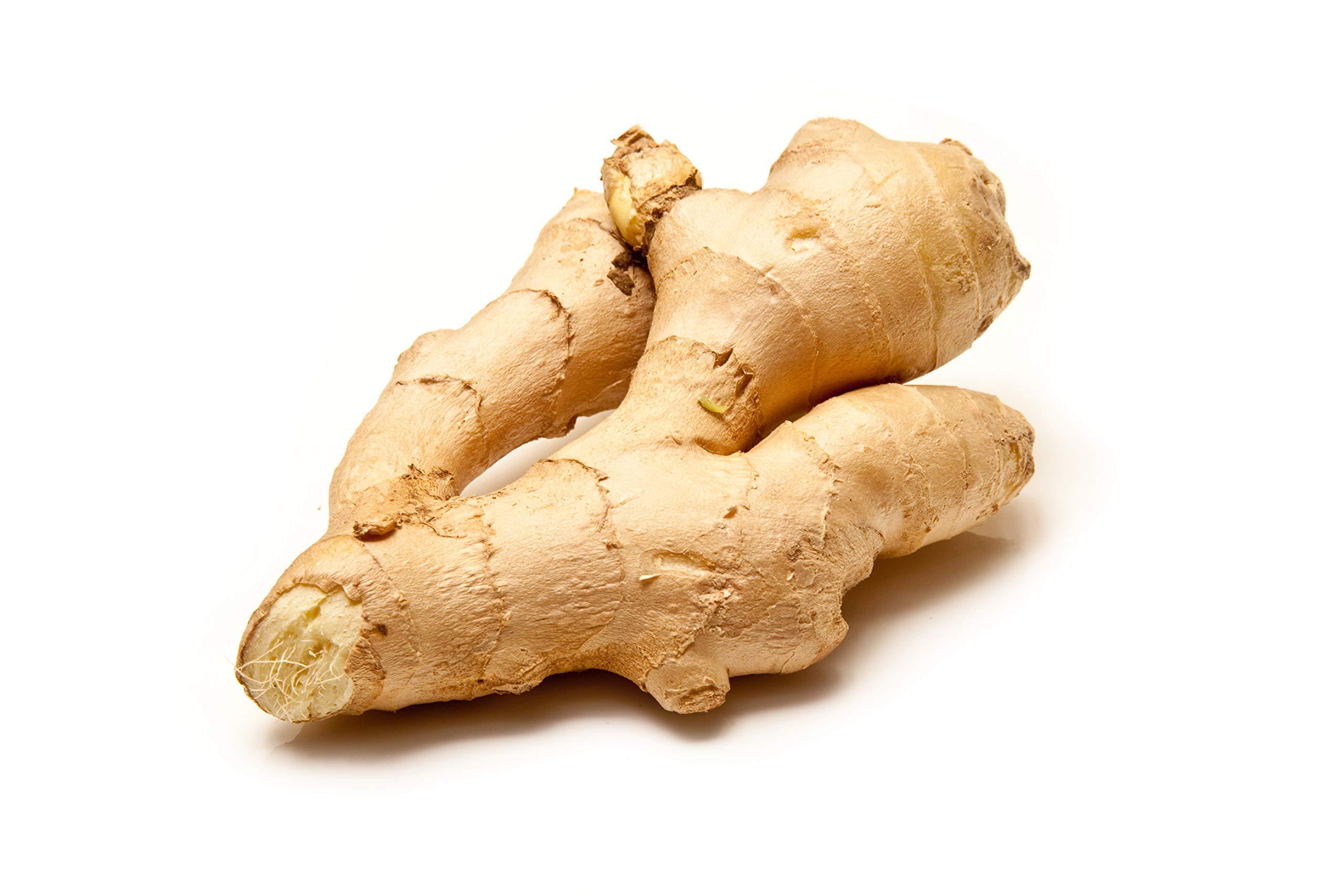 COUNTRY CREEK ACRES GROWING IS IN OUR ROOTS Ginger, Whole Root, 16 OZ, COUNTRY CREEK ACRES BRAND- Savory, Tasty, and Full of Nutrients!
