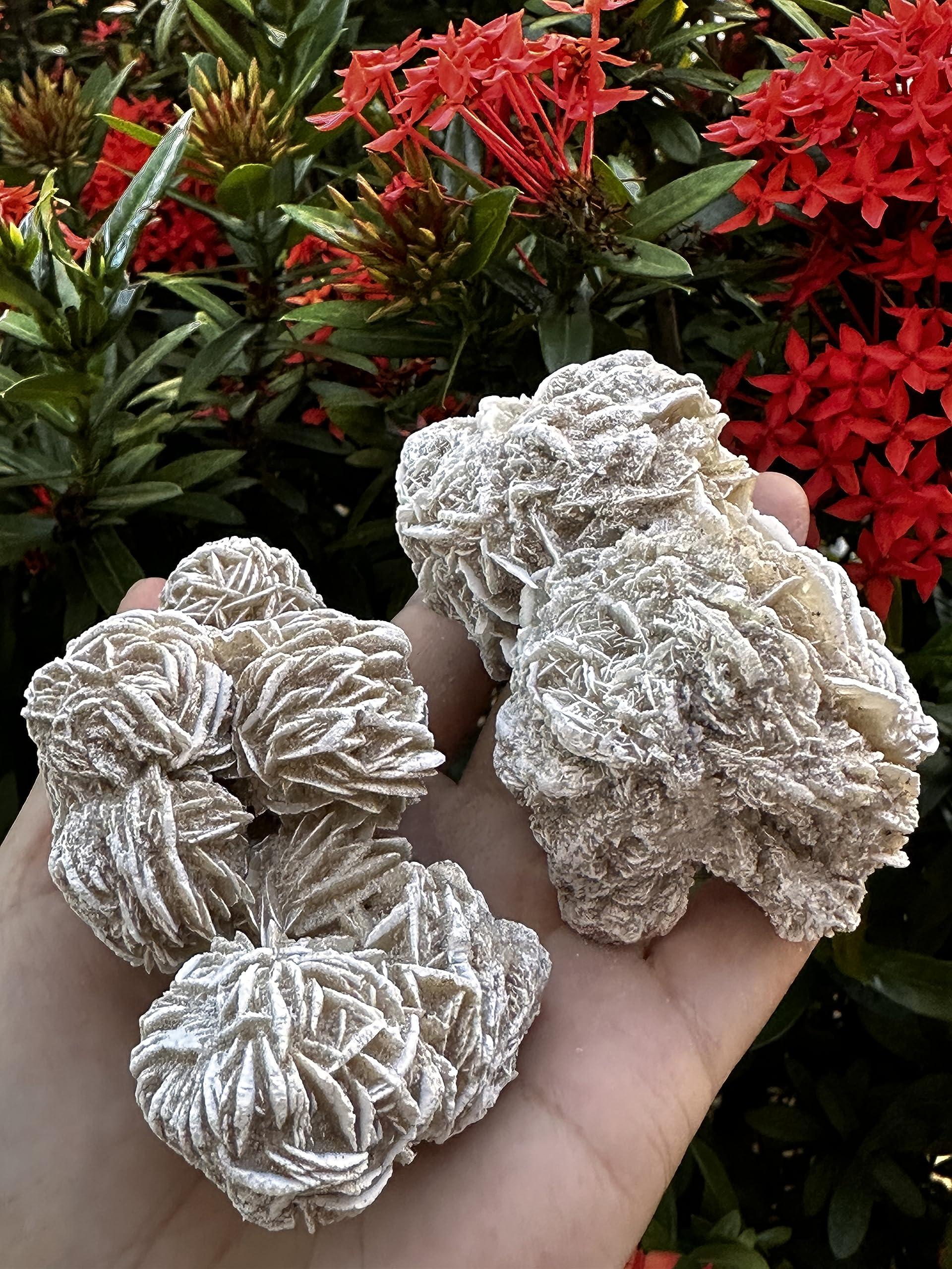 GAF TREASURES Large Desert Rose Cluster, Natural Desert Rose Selenite Stones, Desert Gypsum Rose, Raw Selenite Rose Crystal, Rose Rock, Sand Rose (0.3-0.5 lb)