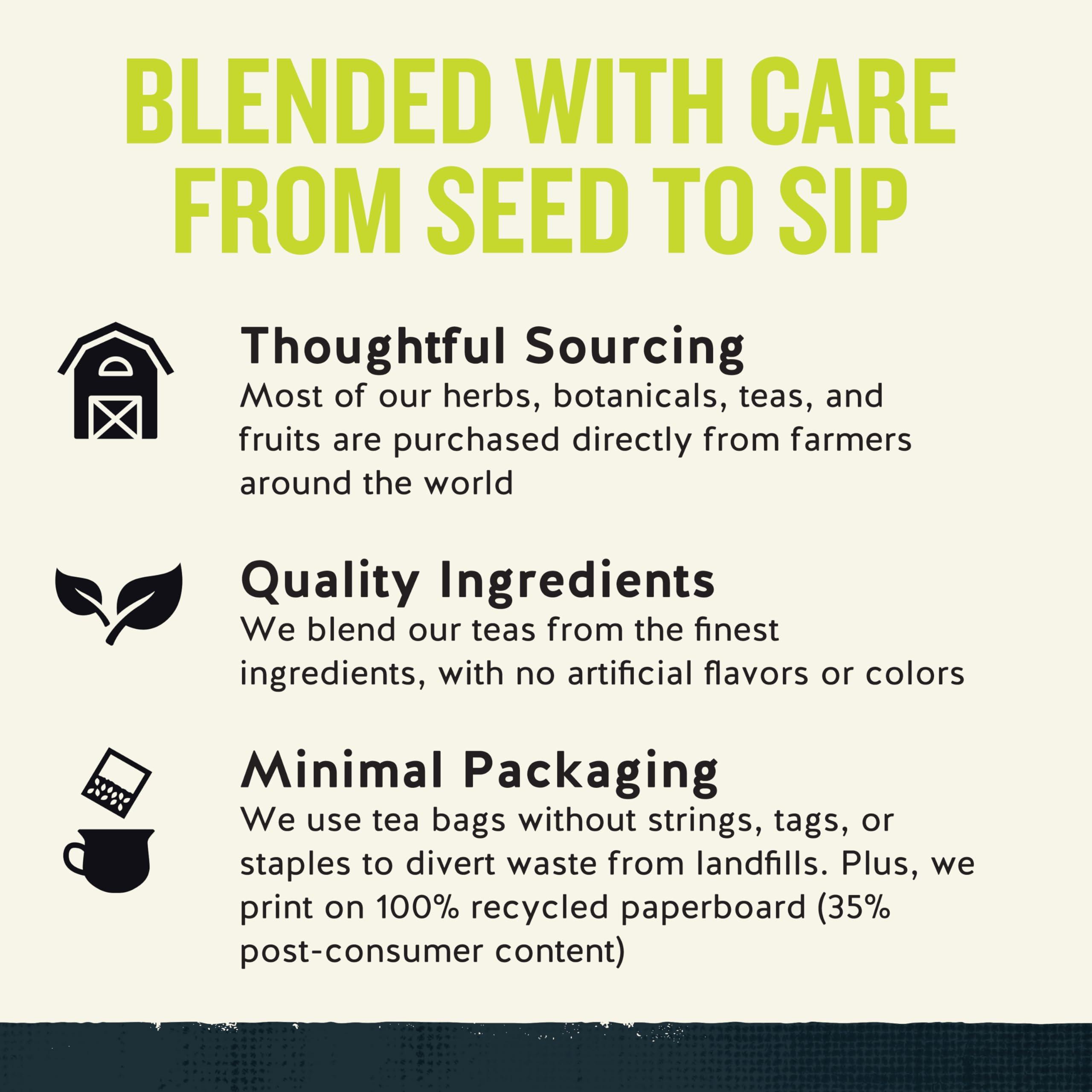 Celestial Seasonings Celestial Seasonings Energy Green Tea, Caffeinated, 12 Tea Bags Box, (Pack of 6)