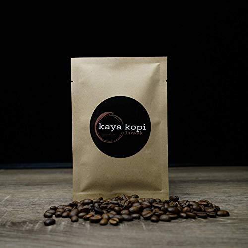 Kaya Kopi Premium Kopi Luwak From Indonesia Wild Palm Civets Arabica Coffee Beans (Kopi Luwak Light Roast, 3.52 Ounce (Pack of 1))