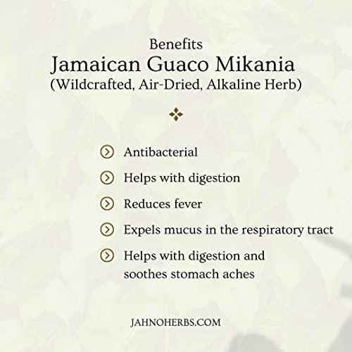 Jahno Herbs Jamaican Guaco Mikania (Wildcrafted, Air-Dried, Alkaline Herb)