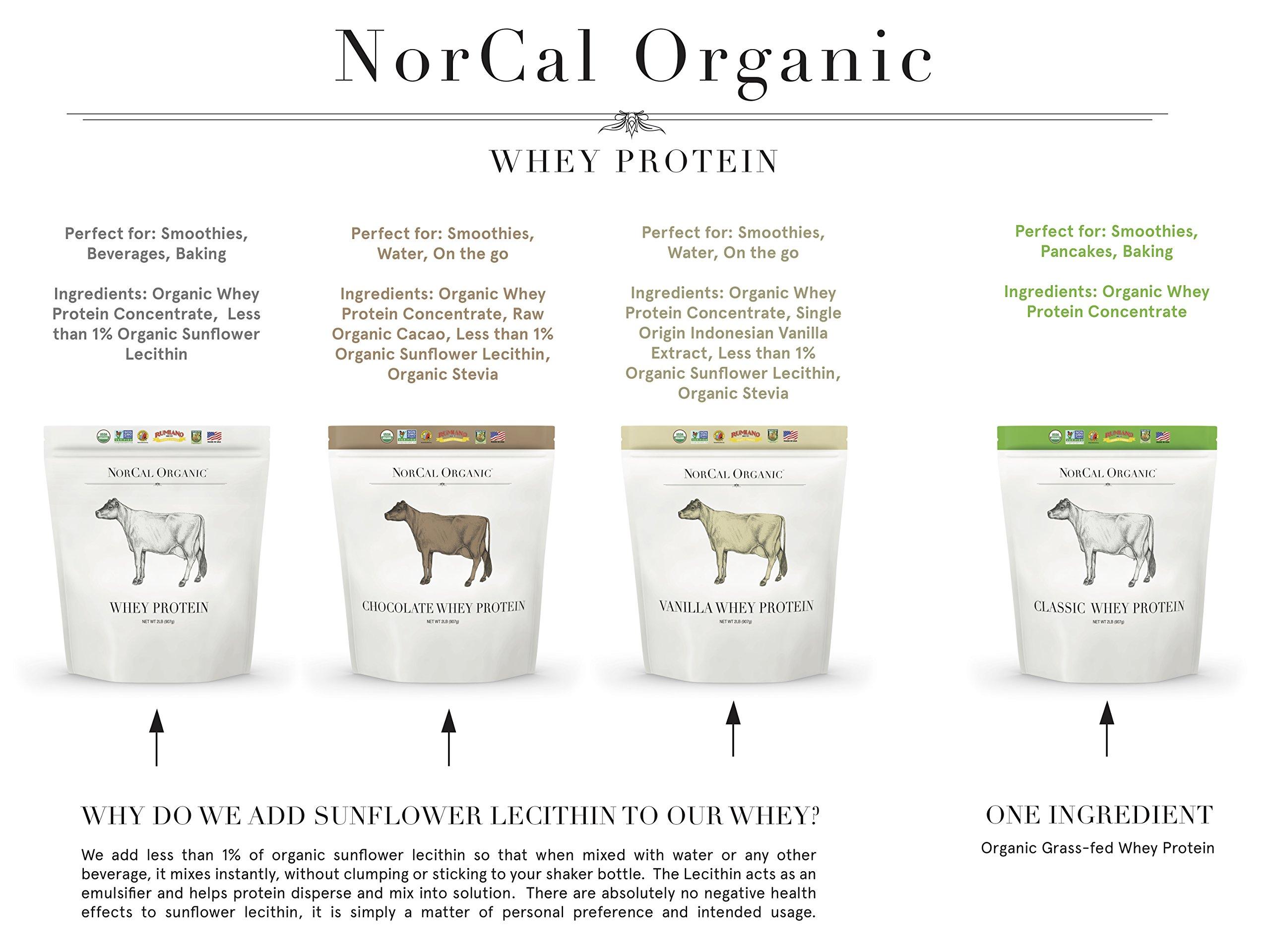 NorCal Organic NorCal Organic Chocolate Whey Protein | 100% USA Grass-Fed, USDA Certified | Naturally Flavored with Raw Cacao from California Family Farms | 32 Ounce (Pack of 1) - 32 Servings