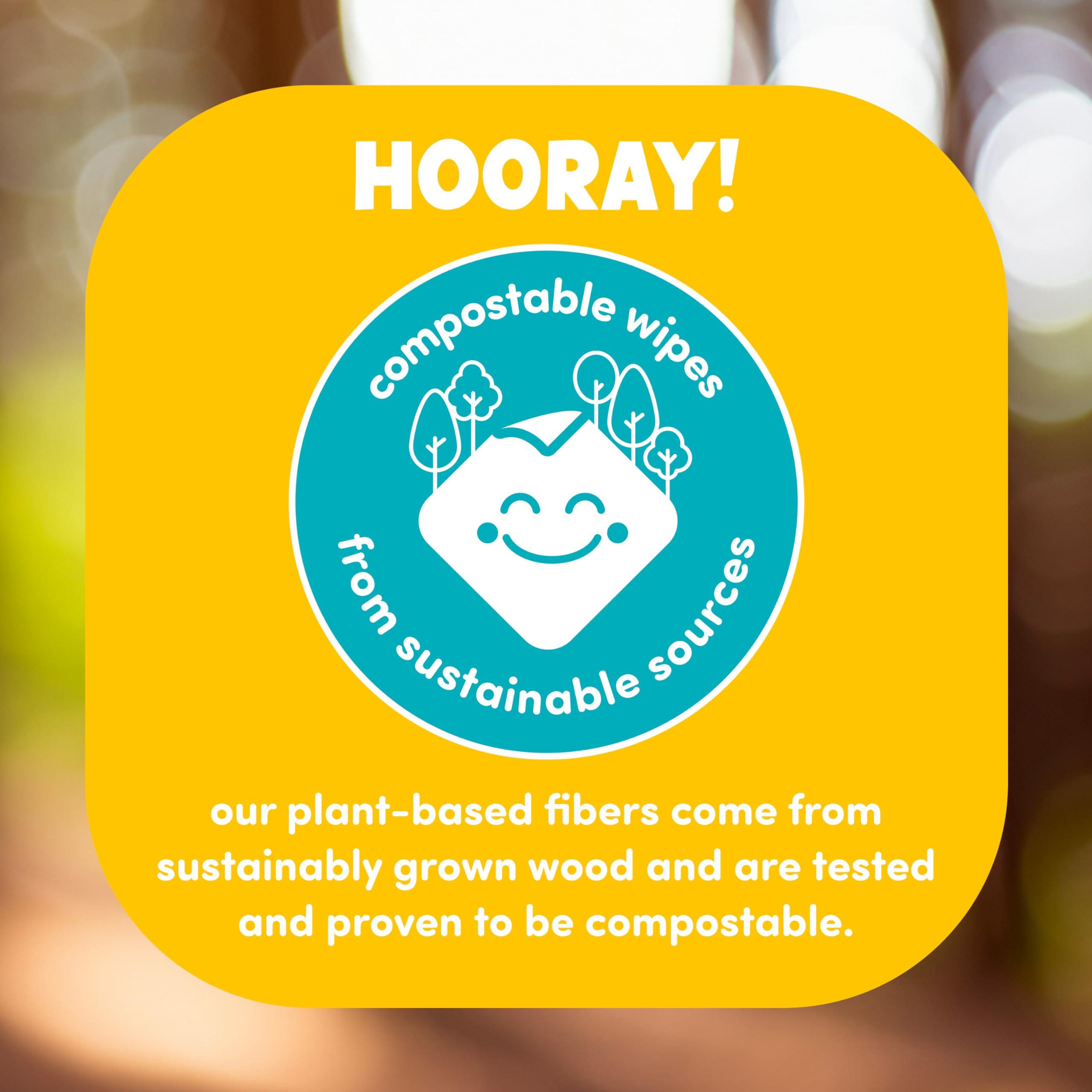 PlaneAire Yipes! Kids Face and Hand Wipes | Compostable Wet Wipes for Sensitive Skin | Individually Wrapped | Classroom Must Haves | Travel Essentials | For Backpacks, Lunchboxes, Classroom Supplies | 4 pack