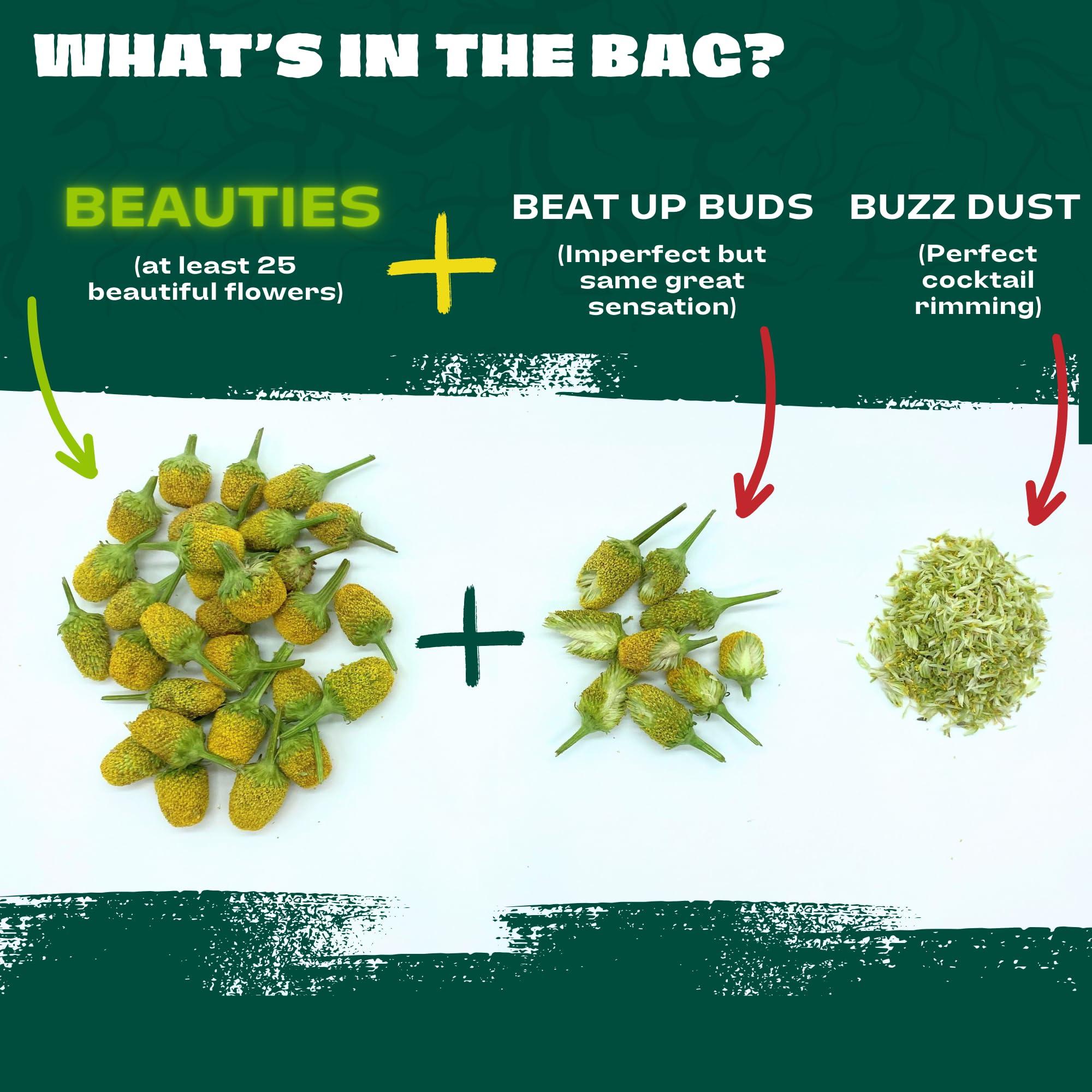 Rooted In Rare Buzz Buttons Edible Flowers for Cocktails | Grown in USA | Spilanthes | Freeze Dried Edible Flowers for Drinks | Szechuan Buttons | Edible Dried Flowers for Drink Garnish | .2oz Pouch