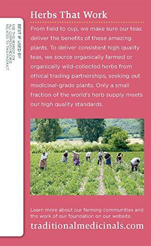 Traditional Medicinals TRADITIONAL MEDICINALS TEA HEALTHY CYCLE 16 BG