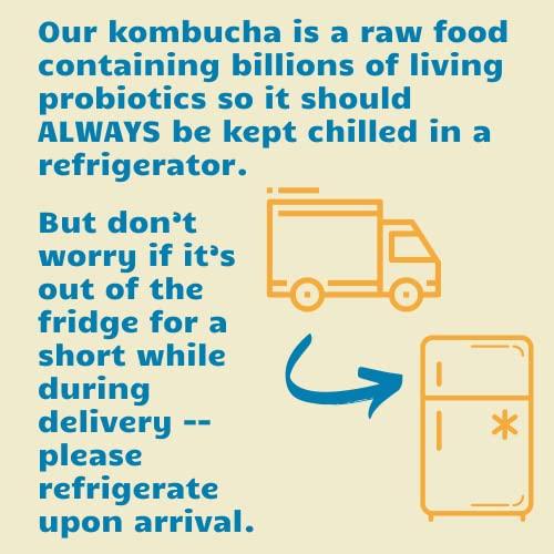 Bambucha Kombucha Bambucha Kombucha Variety 12 Pack Case | Chef Crafted Flavors, 100% Raw Kombucha Live Cultured Tea Drink | Organic, Vegan, Gluten Free, Non GMO, Probiotic (12 Fl Oz Cans)