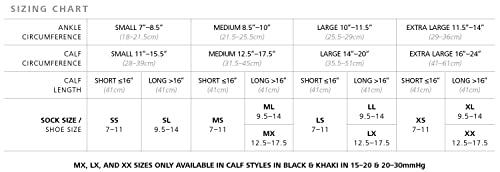 GloryBee GloryBee Clover Blossom Organic Honey, 12 Ounce Bear