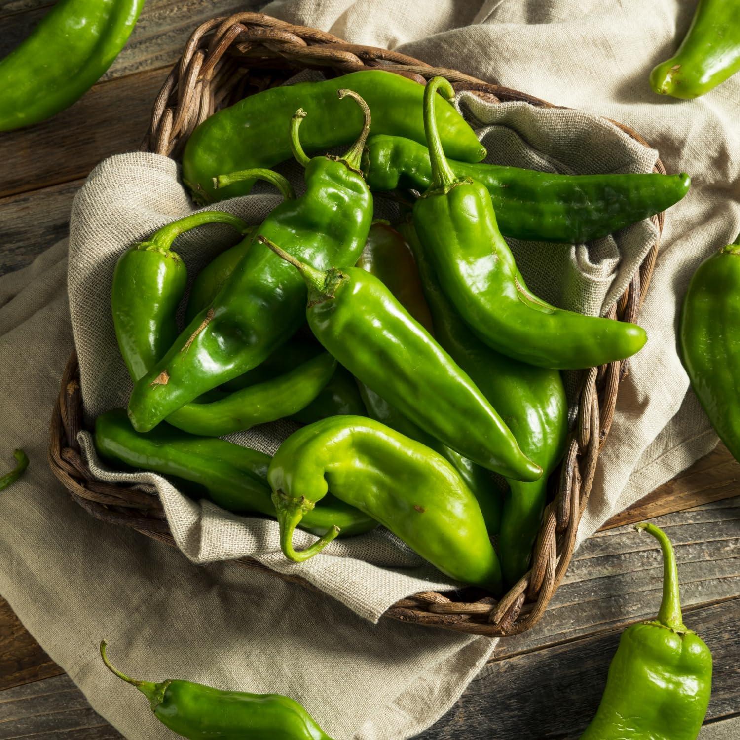 Hatch Valley 505 Southwestern Medium Flame Roasted Hatch Valley Green Chiles, 40 oz Jar  Gluten-Free, Non-GMO, All-Natural, Authentic New Mexico Flavor, Perfect for Tacos, Enchiladas, Soups, Stews, and Dips