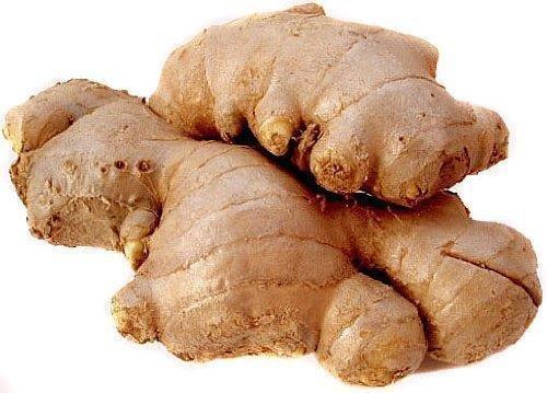 tffcountrycreekllc Fresh Ginger Root/Adrak - 1lb