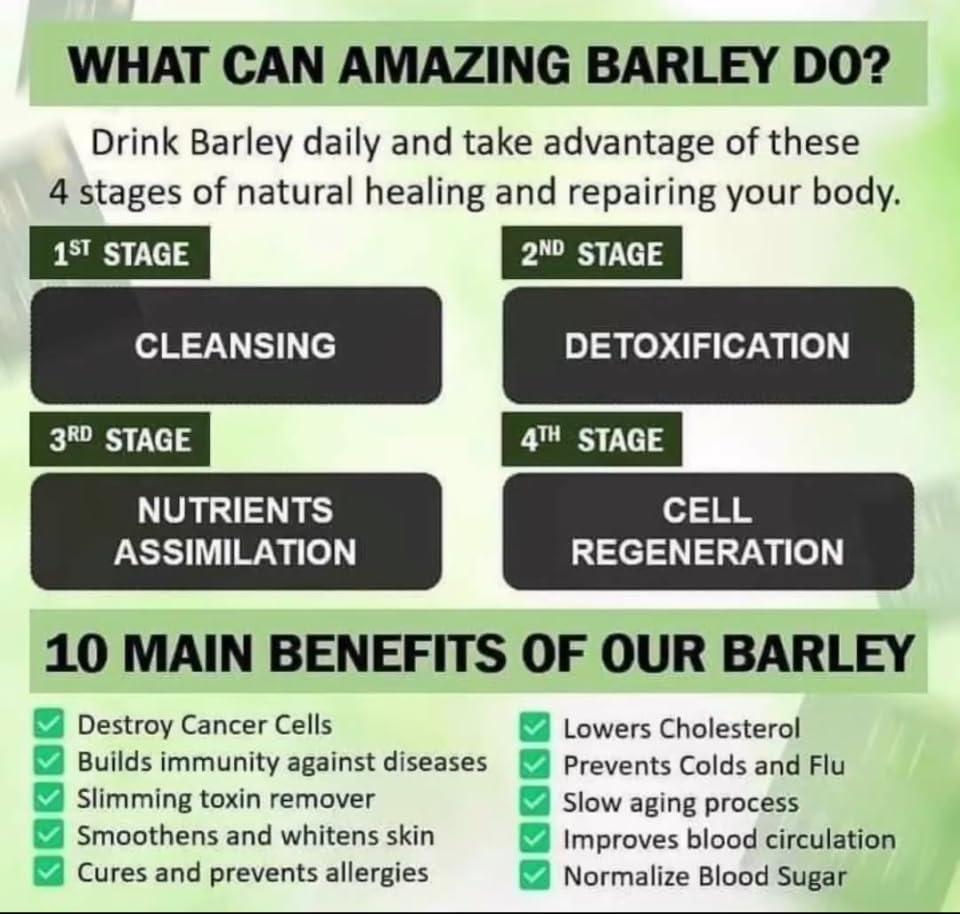 Herb All Generic IAM Amazing Pure Organic Barley Powder Drink Mix Organic Barley Natural Blend, 2.2 Ounce (Pack of 1), Green