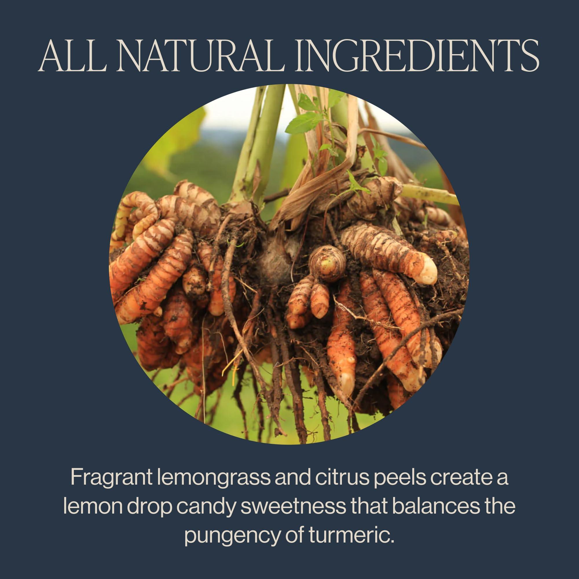 Rishi Tea Rishi Tea Turmeric Ginger Herbal Tea - Organic Sachet Bags, Caffeine Free Ayurvedic Digestive Blend with Spicy Ginger & Citrus - 15 Count (Pack of 6)