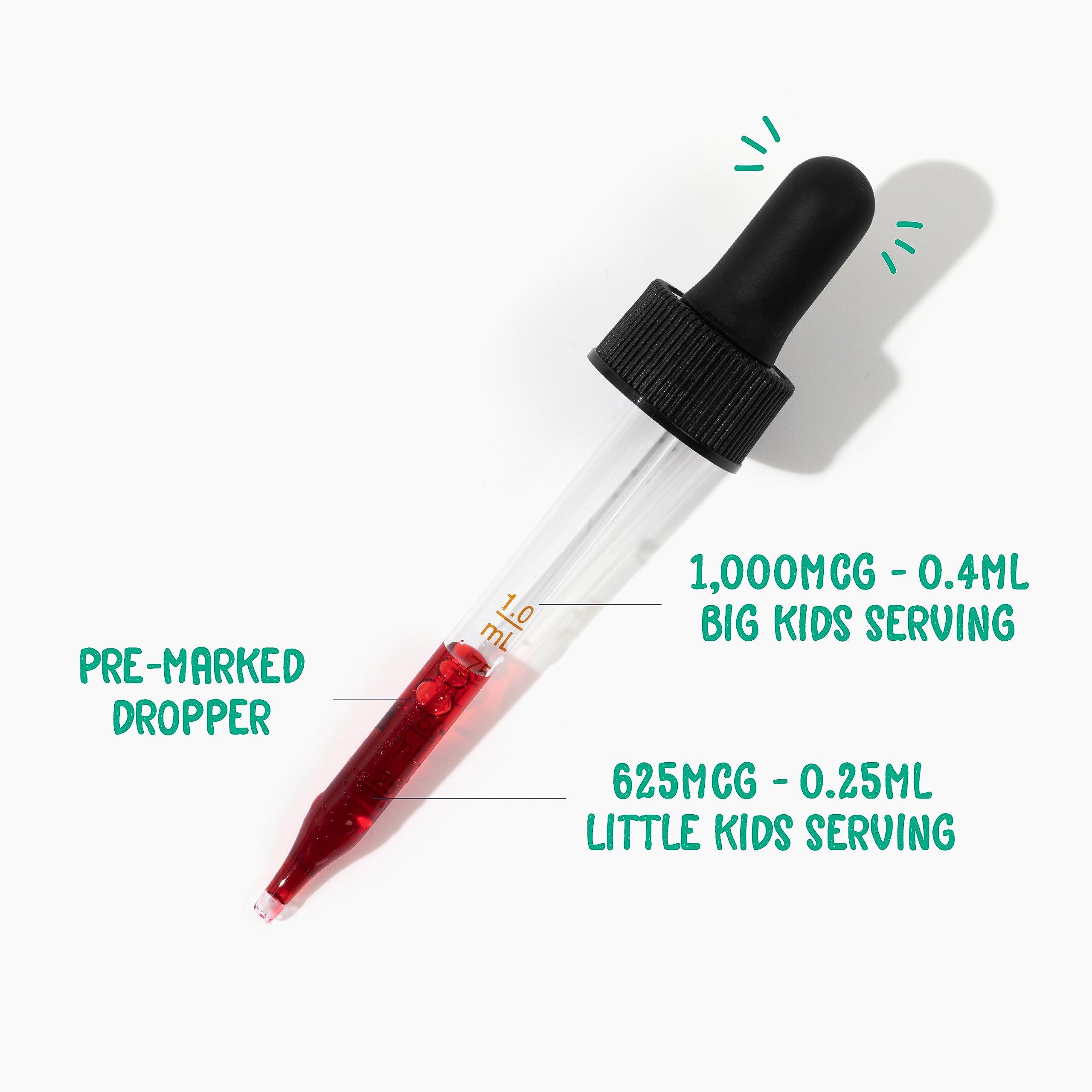 Vimergy Vimergy Kids Organic Liquid B12 Promotes Physical Development & Cognitive Function* Fast-Absorbing Immune Support* USDA Organic, Vegan, Non-GMO 55 mL