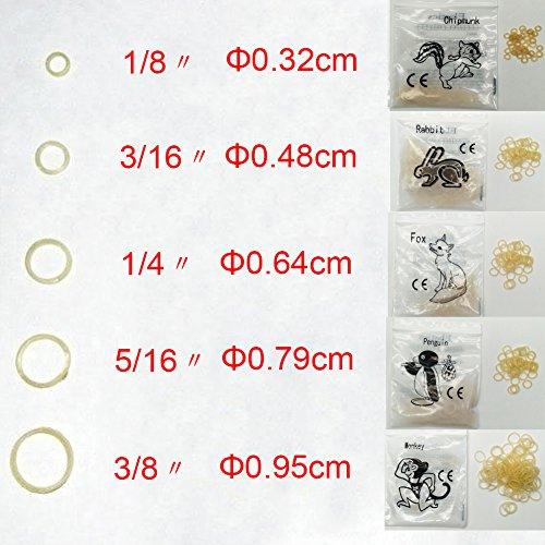 Only Dental 500 Pcs Dental Orthodontic Rubber Bands Orthodontic Elastic Orthodontic Supply (5/16" 3.5 Oz)