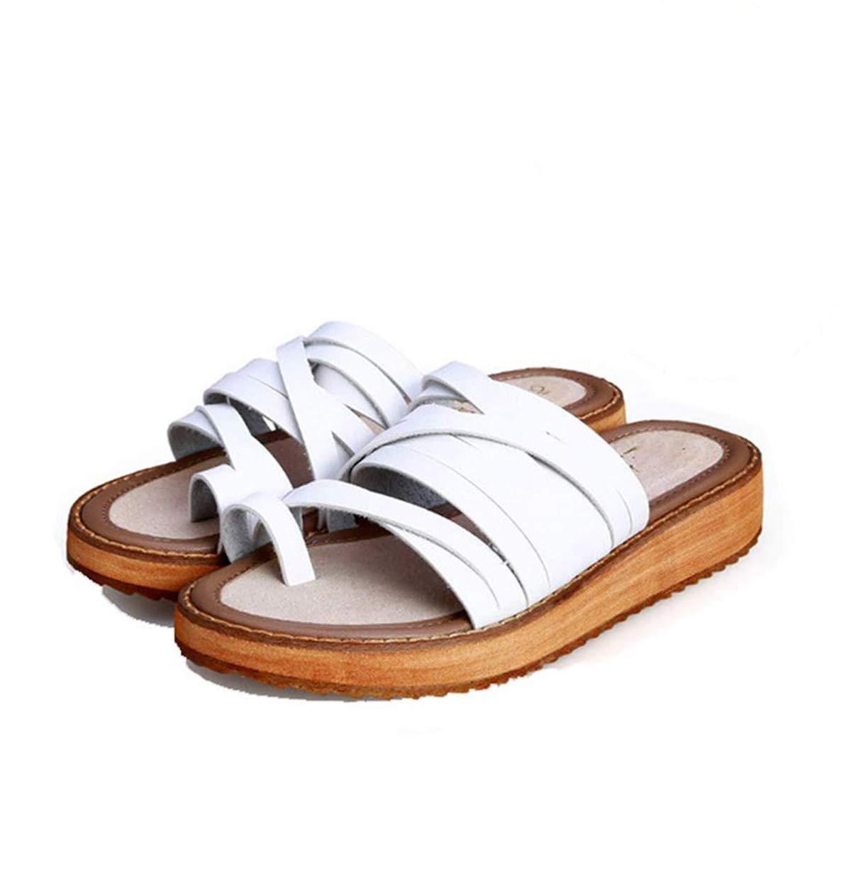 Newbee Fashion Reading Glasses 6 Packs Tube Readers Reading Glasses Portable Reading Glasses in Aluminum Case Teal 2.00