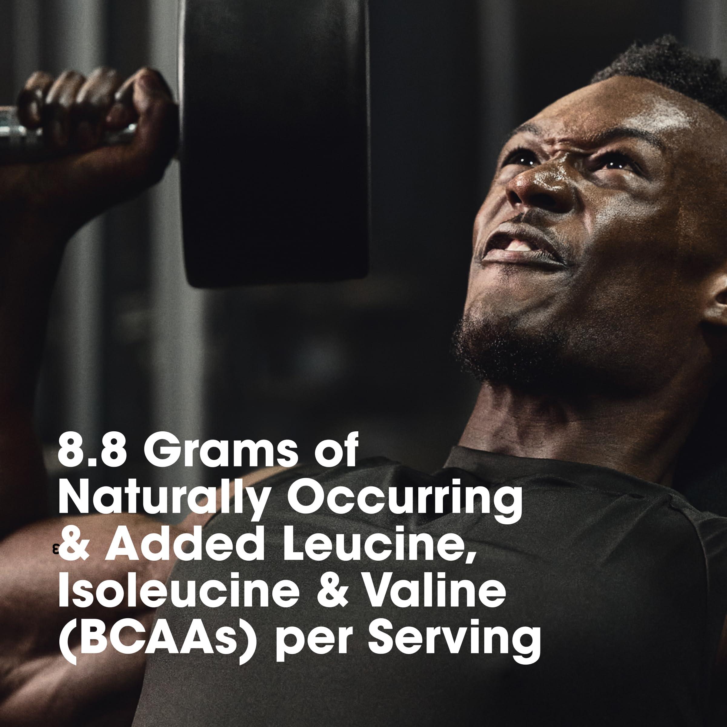 Optimum Nutrition Optimum Nutrition Platinum Hydrowhey Protein Powder, 100% Hydrolyzed Whey Protein Isolate Powder, Flavor: Turbo Chocolate, 20 Servings, 1.8 Pounds (Packaging May Vary)