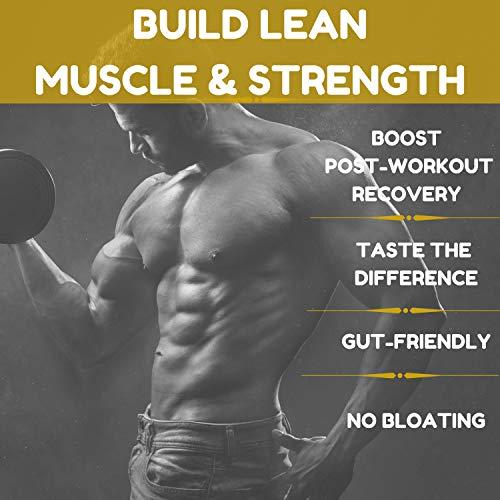 Royal Sports Nutrition RSN Royal 100% Isolate Protein Powder | 27g Protein Isolate | 0 Sugar | 1g Carbs | 5 lbs | 76 Servings | Vanilla Delight