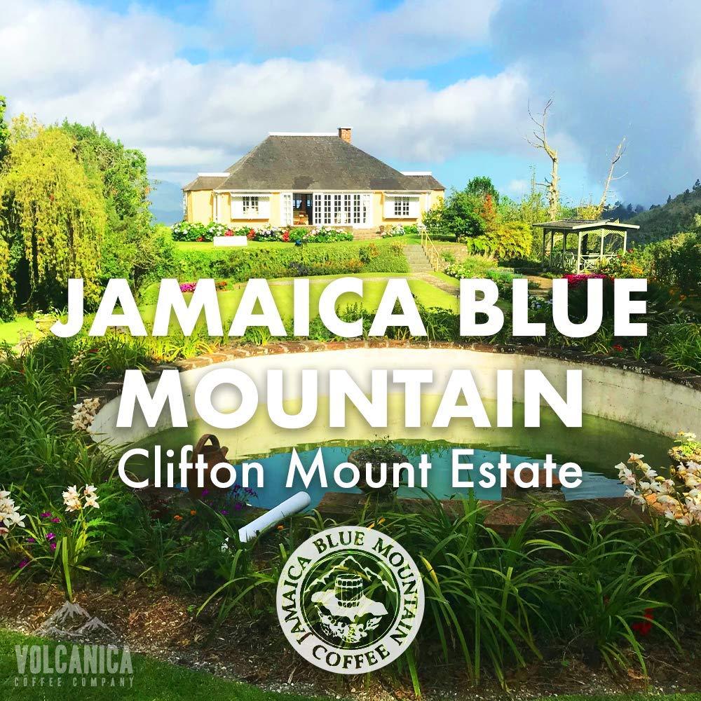 Volcanica Coffee Jamaica Blue Mountain Coffee, Clifton Mount Estate, 100% Certified, Whole Bean, Fresh Roasted, 5 lbs