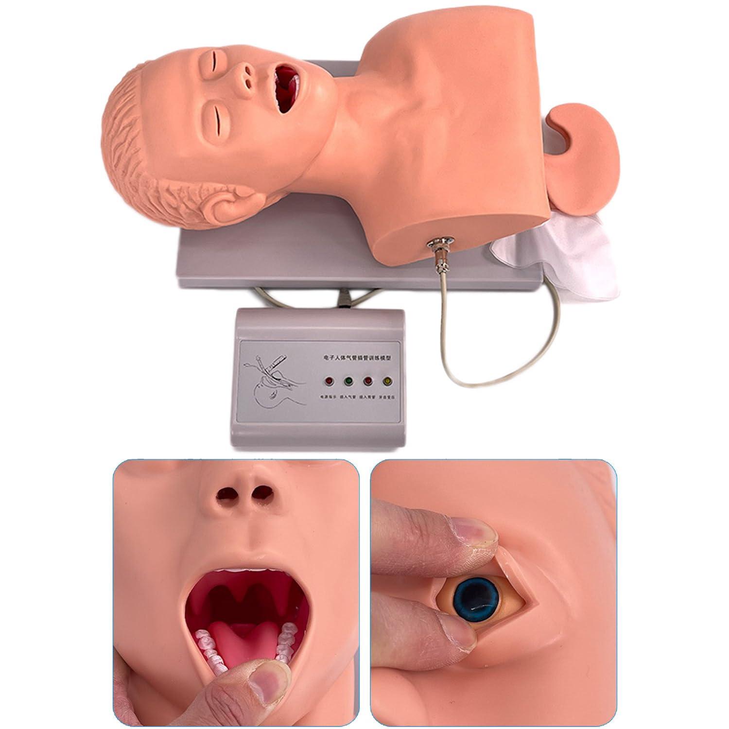 DAZULI Intubation Manikin Training Nursing Mannequin PVC Oral Nasal Intubation Manikin with Tooth Alarm Device Simulator Airway Management Trainer Intubation Head Teaching,220V