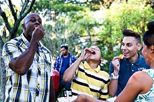 Route 11 Route 11 Potato Chips : Barbeque (30 bags (2 oz each)) Barbecue BBQ