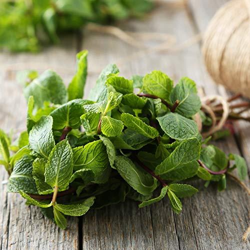 Crave Beverages Crave Beverages Tea Pods, for Keurig K Cup Brewers, Peppermint, 40 Count