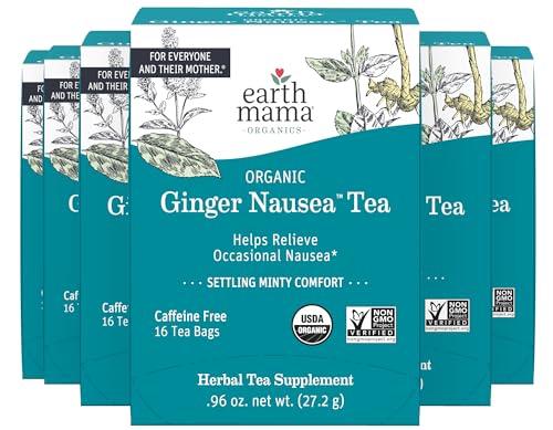 Earth Mama Earth Mama Organic Ginger Nausea Tea | Comforts Occasional Nausea + Morning Sickness, 16 Teabags Per Box (6-Pack)