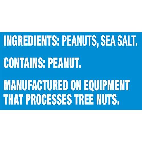 Planters PLANTERS Lightly Salted Dry Roasted Peanuts, Party Snacks, Plant Based Protein 16oz (4 Jars)