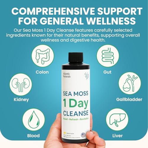 Atlantic Naturals Atlantic Naturals - 1 Day Colon Cleanse Full Body Detox Drink - Sea Moss Supplement for Women & Men, Gut Health, Kidney & Liver Immune Energy Enhancer Gut Cleanse - Lemon Flavor Juice, 8 fl oz