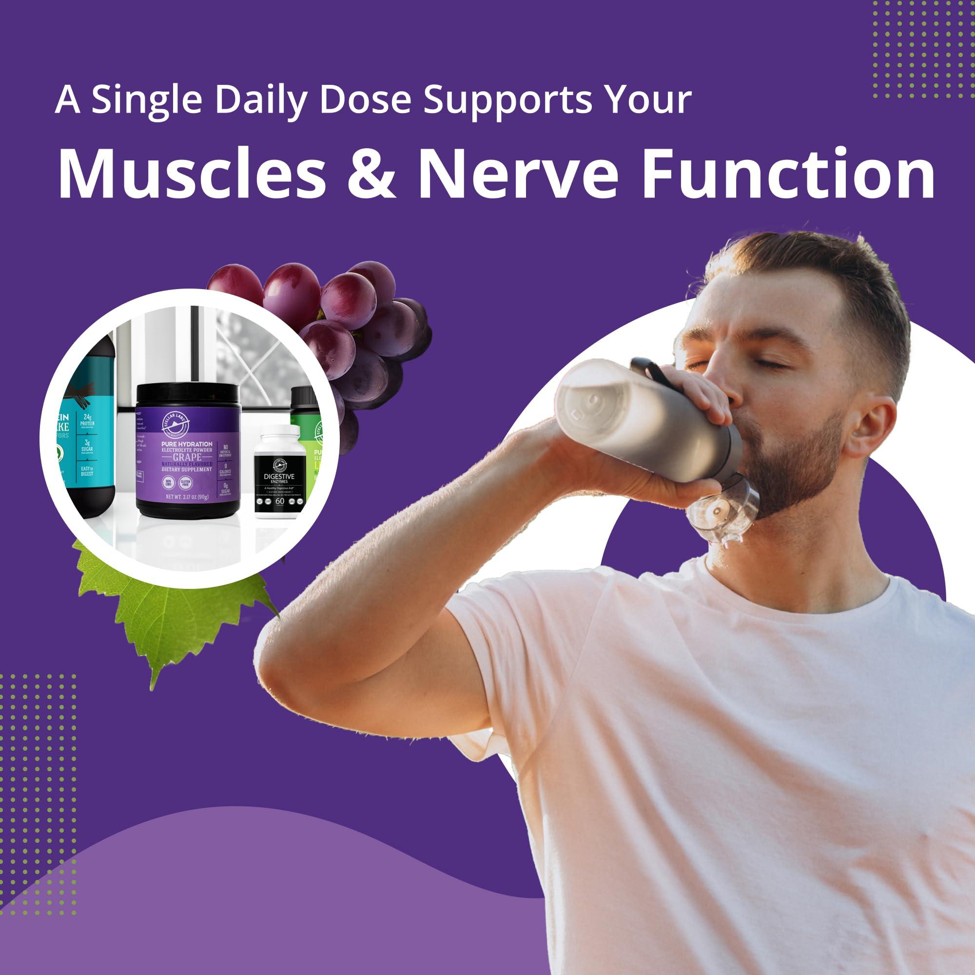 Stellar Labs Stellar Labs Electrolyte Powder No Sugar | Low FODMAP Hydration Multiplier Powdered Drink Mix | Keto Friendly, Sugar Free, Non-GMO, Gluten Free Dehydration Relief | Grape, 30 Servings