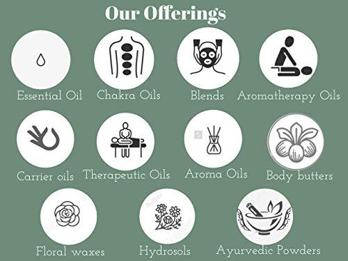 Deve Herbes Deve Herbes Pure Brahmi Amla Hair Oil with Glass Dropper 10ml (0.33 oz)