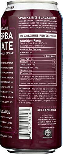 Clean Cause Clean Cause Sparkling Blackberry Yerba Mate - 16 Ounces (Case of 12)