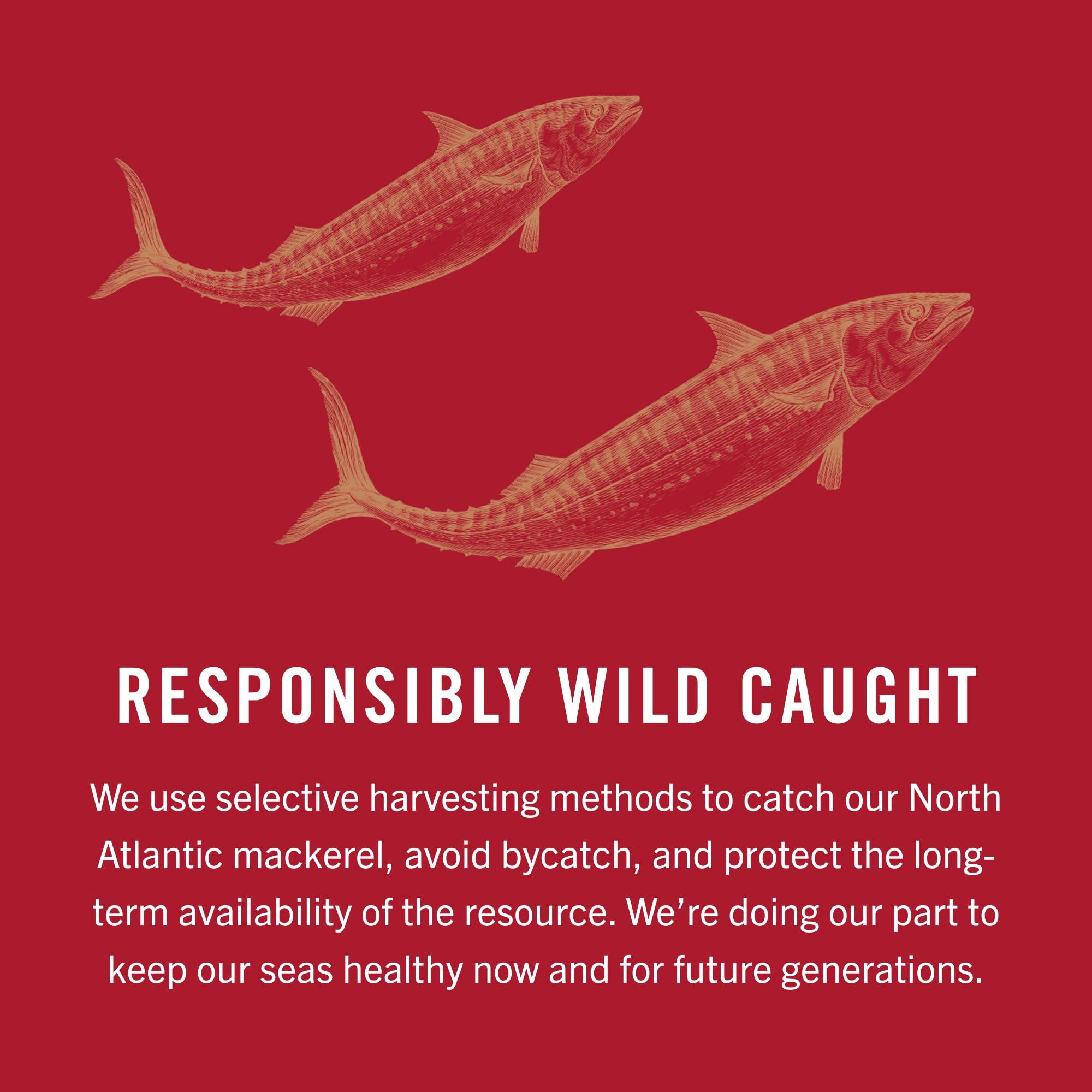 King Oscar King Oscar Mackerel in Olive Oil with Lemon, 4.05 Ounce Cans (Pack of 12), Skinless & Boneless, Wild Caught Canned Mackerel