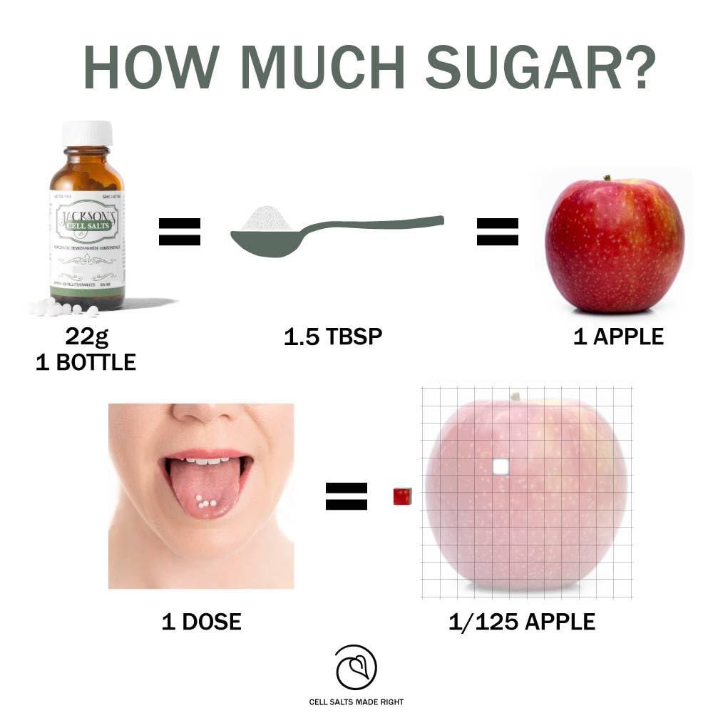 Jackson's Jacksons Cell Salt #2 Calc phos 6X (500 Pellet Bottle) Certified Vegan, Lactose-Free Calcarea phosphorica 6X