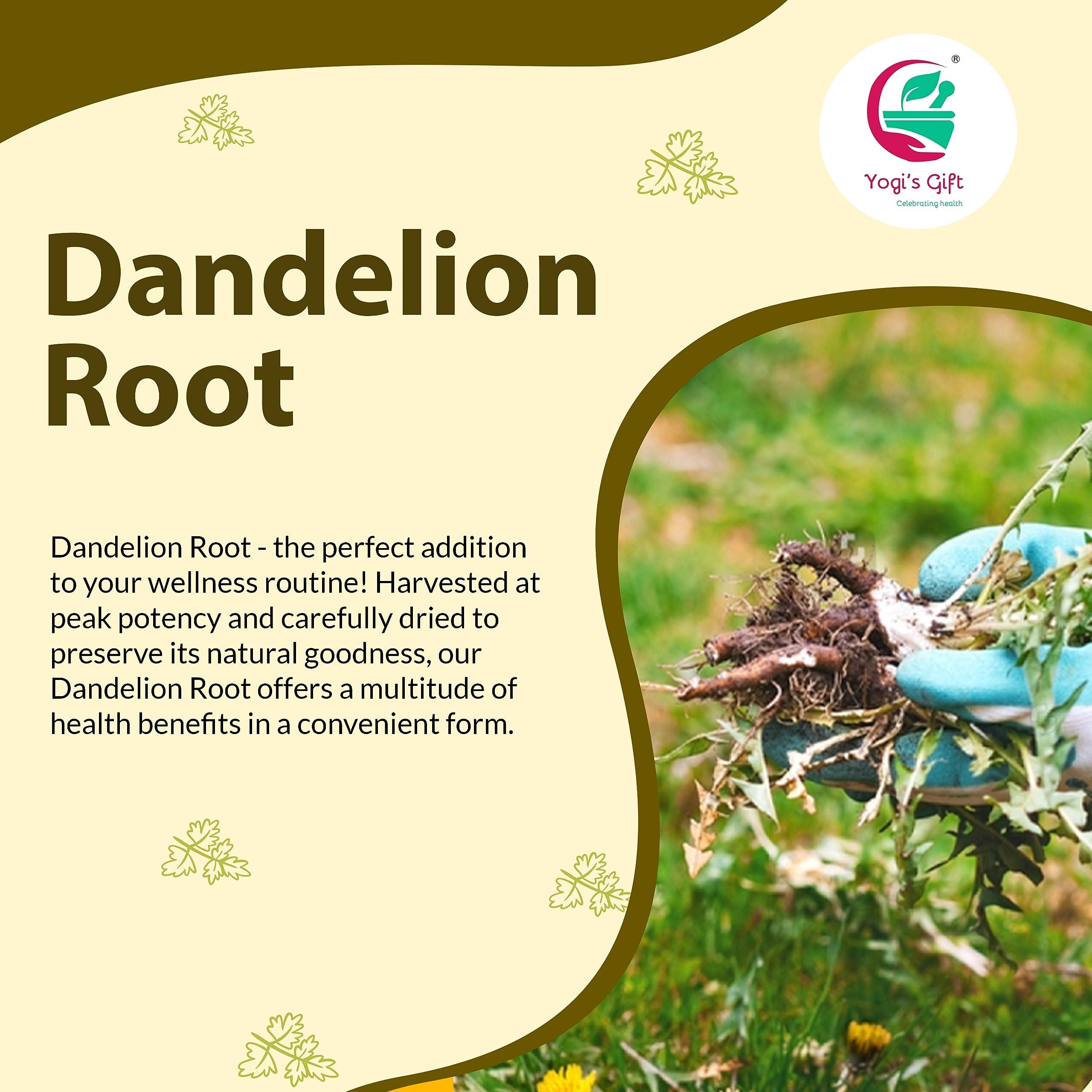 YOGIS GIFT  Celebrating health Dandelion Root 1 LB | Raw and Whole root | by Yogi\'s Gift