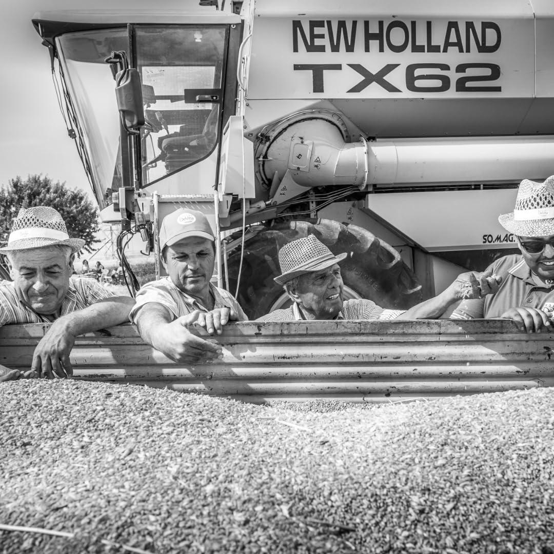 Alma Gourmet Italian Mezzi Rigatoni di Gragnano IGP - Authentic Pasta di Gragnano Imported - Certified Made in Italy - 100% Italian Wheat - Slow Dried, Excellent Firmness - Pastificio dei Campi - 17.6oz Pack of 1