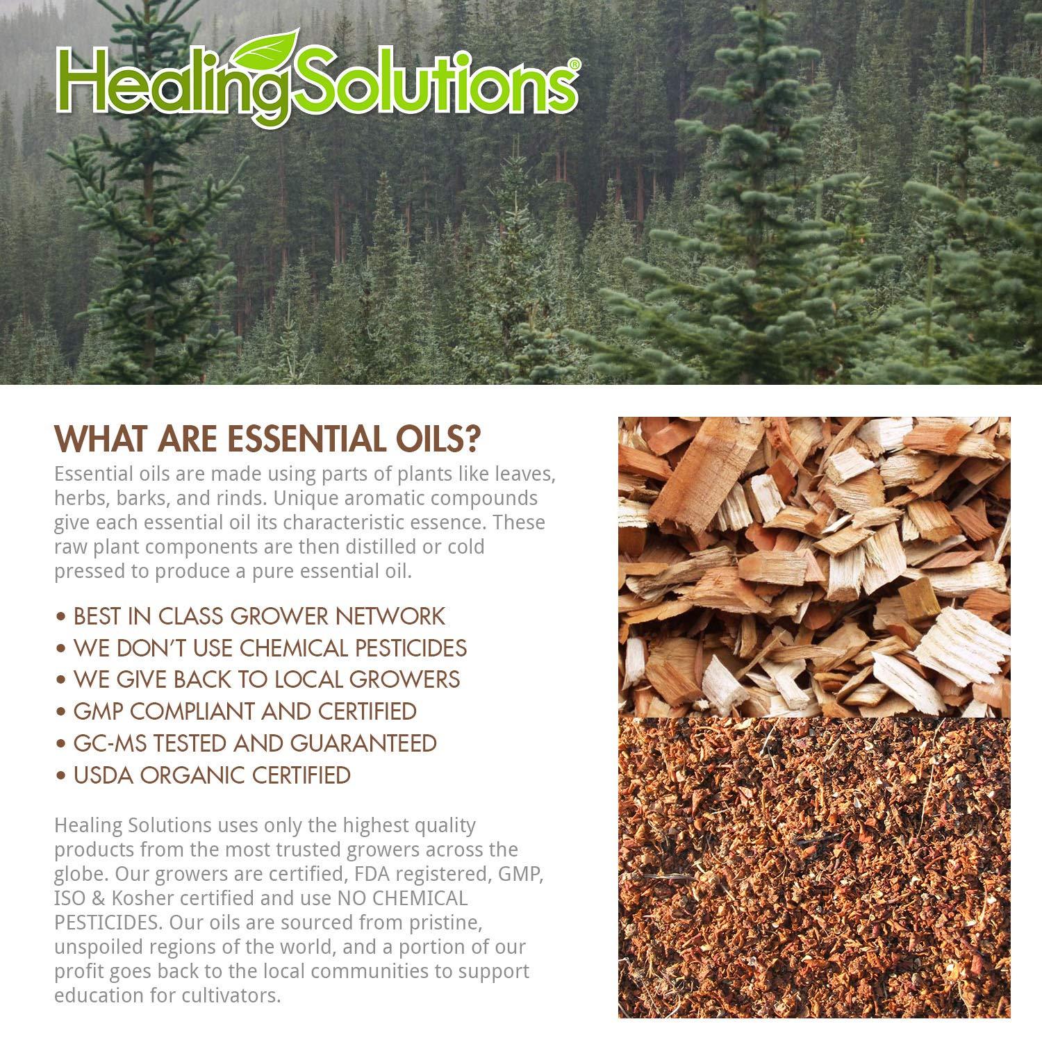 It's Delish California Walnut Halves & Pieces, Raw, Shelled Walnuts by It's Delish, Bulk | 100% All Natural Raw Unsalted Nuts for Keto Baking and Snacking (5 lbs)