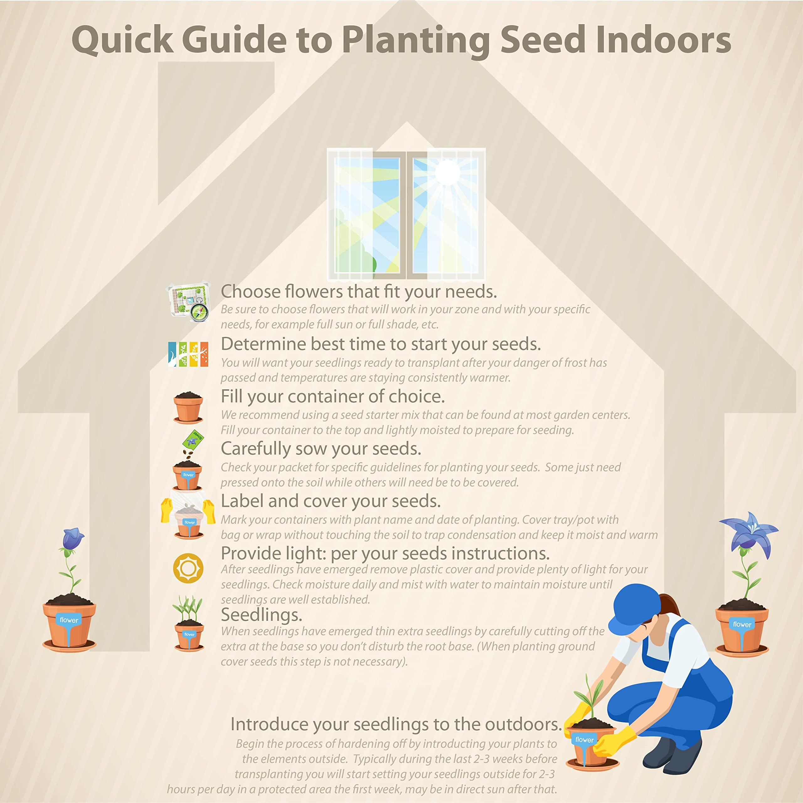 Outsidepride Outsidepride 10000 Seeds Annual Yellow Mustard Herb Garden Seed for Microgreens, Sprouts, & Cooking