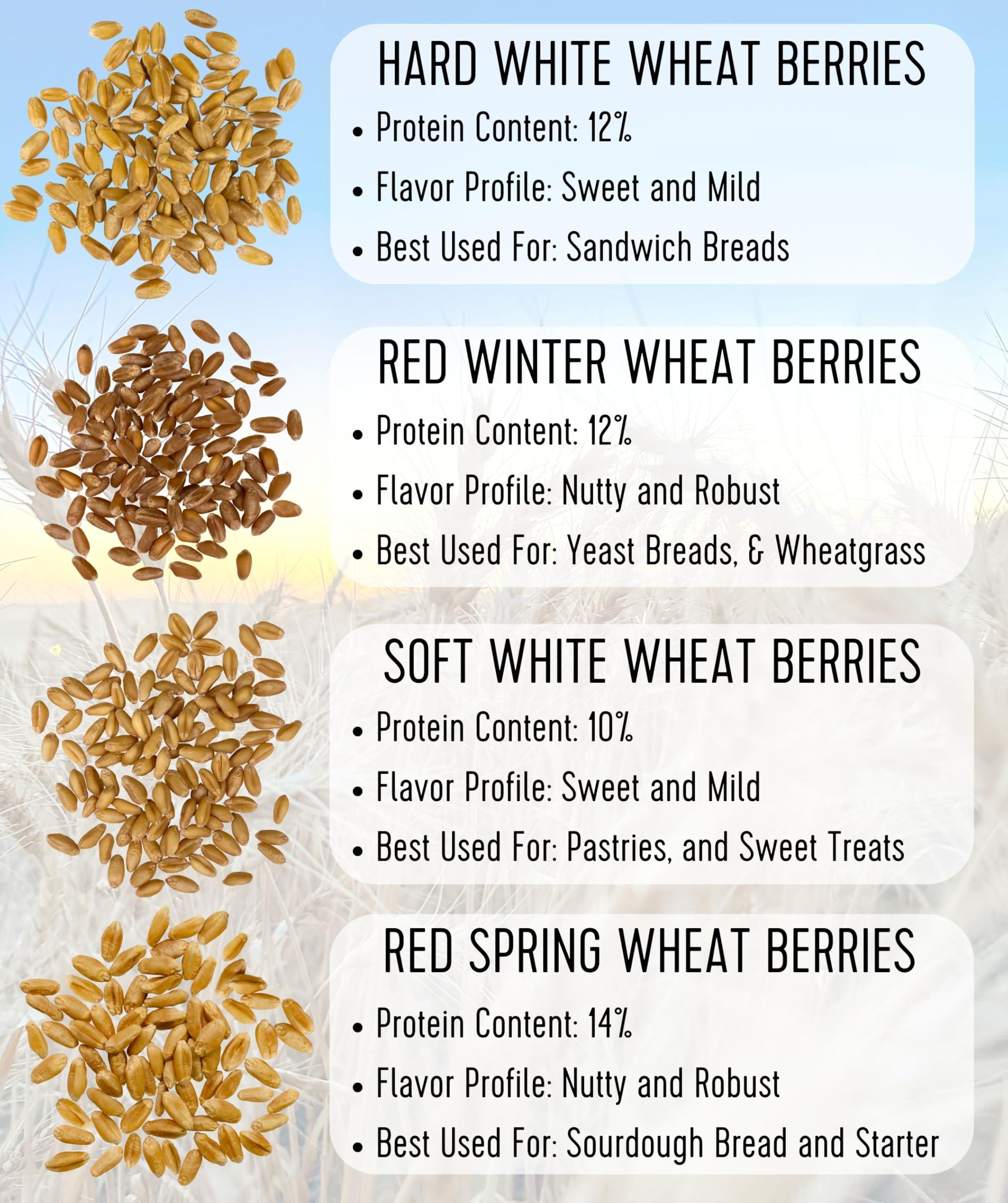 Palouse Brand Certified Glyphosate Residue Free Hard Red Winter Wheat Berries | 5 LBS | Family Farmed in Washington State | Non-GMO Project Verified | 100% Non-Irradiated | Certified Kosher Parve | Field Traced | Burlap Bag