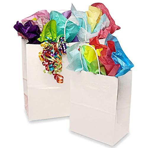 Ettore Ettore Deluxe Window Cleaning Kit with Case, Model Number 04910