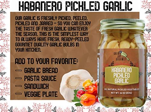 Green Jay Gourmet Green Jay Gourmet Pickled Garlic Cloves in a Jar - Habanero Pickled Garlic - Fresh Garlic Bulbs for Cooking - Natural Ingredients - Freshly Made - Subtly Infused, Pre-Prepared Garlic - 16 Ounce Jar