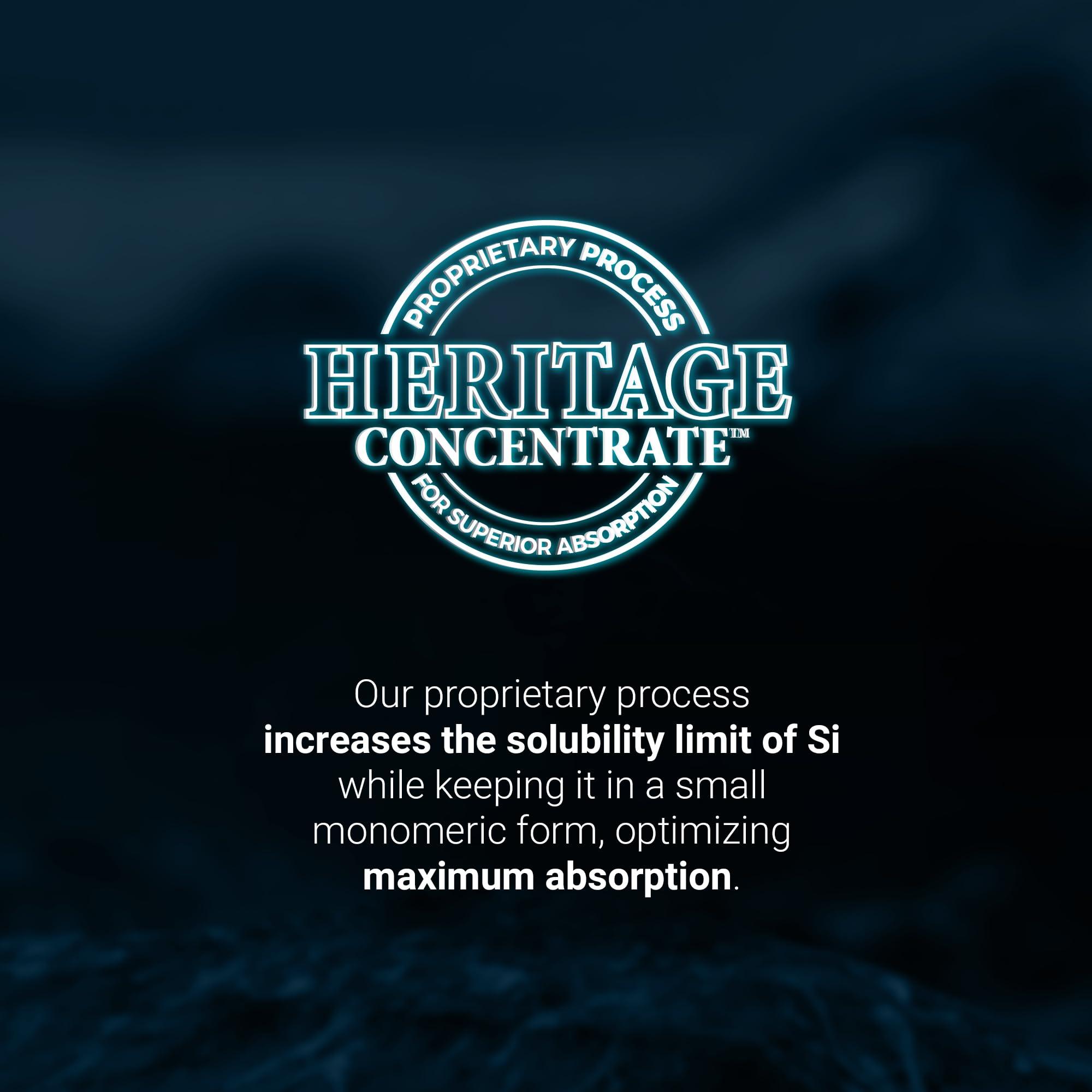 Orgono Living Silica Living Silica Collagen Booster Capsules | Ultra High Absorption | Supports Healthy Collagen and Elastin Production for Joint & Bone Support, Glowing Skin, Strong Hair & Nails (120 Count)